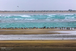 Gwadar Bay